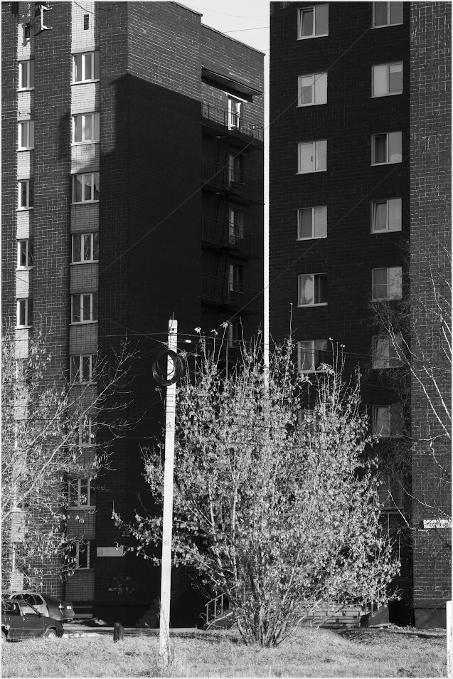 светлая полоса