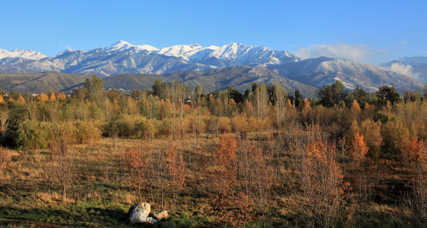 Зима, лето, осень