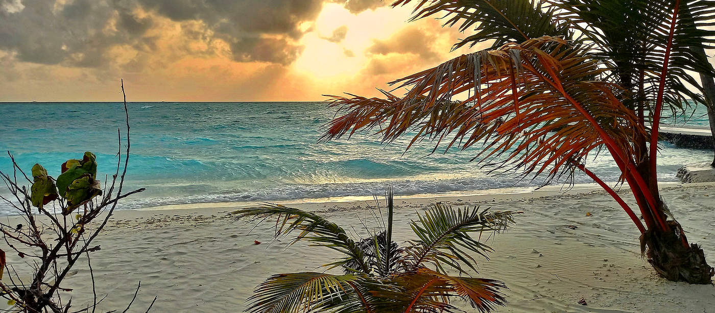 На берегу радости и впечатлений