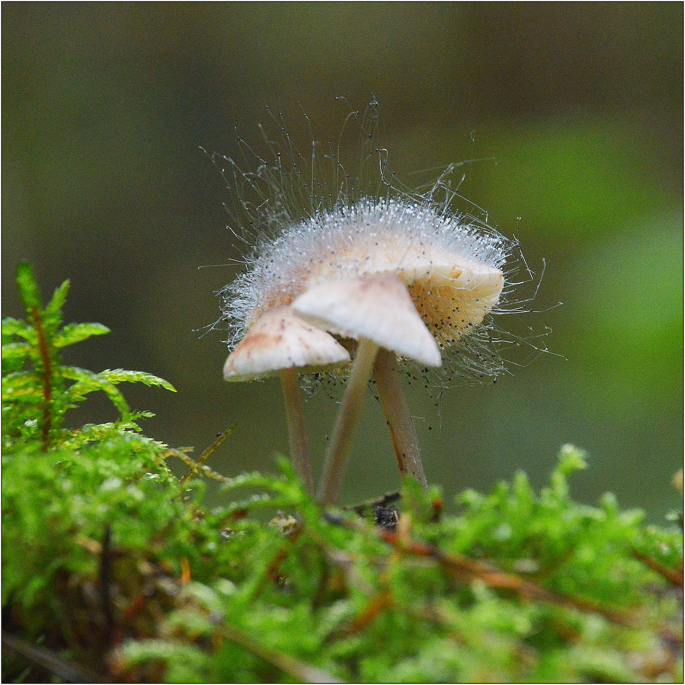 Осенние мотивы.