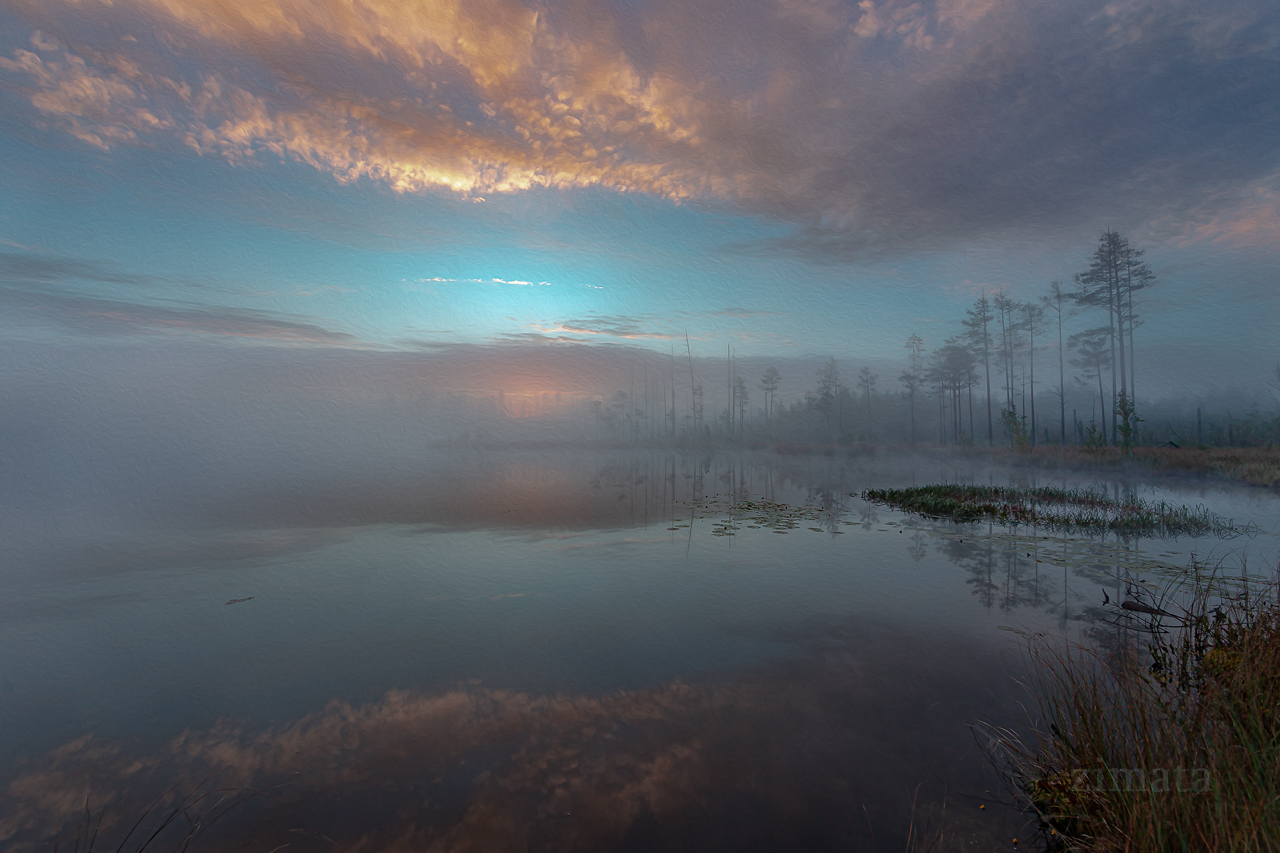 сквозь туман