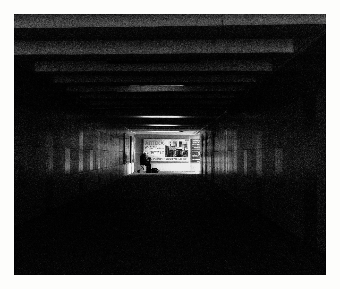 Долгожитель