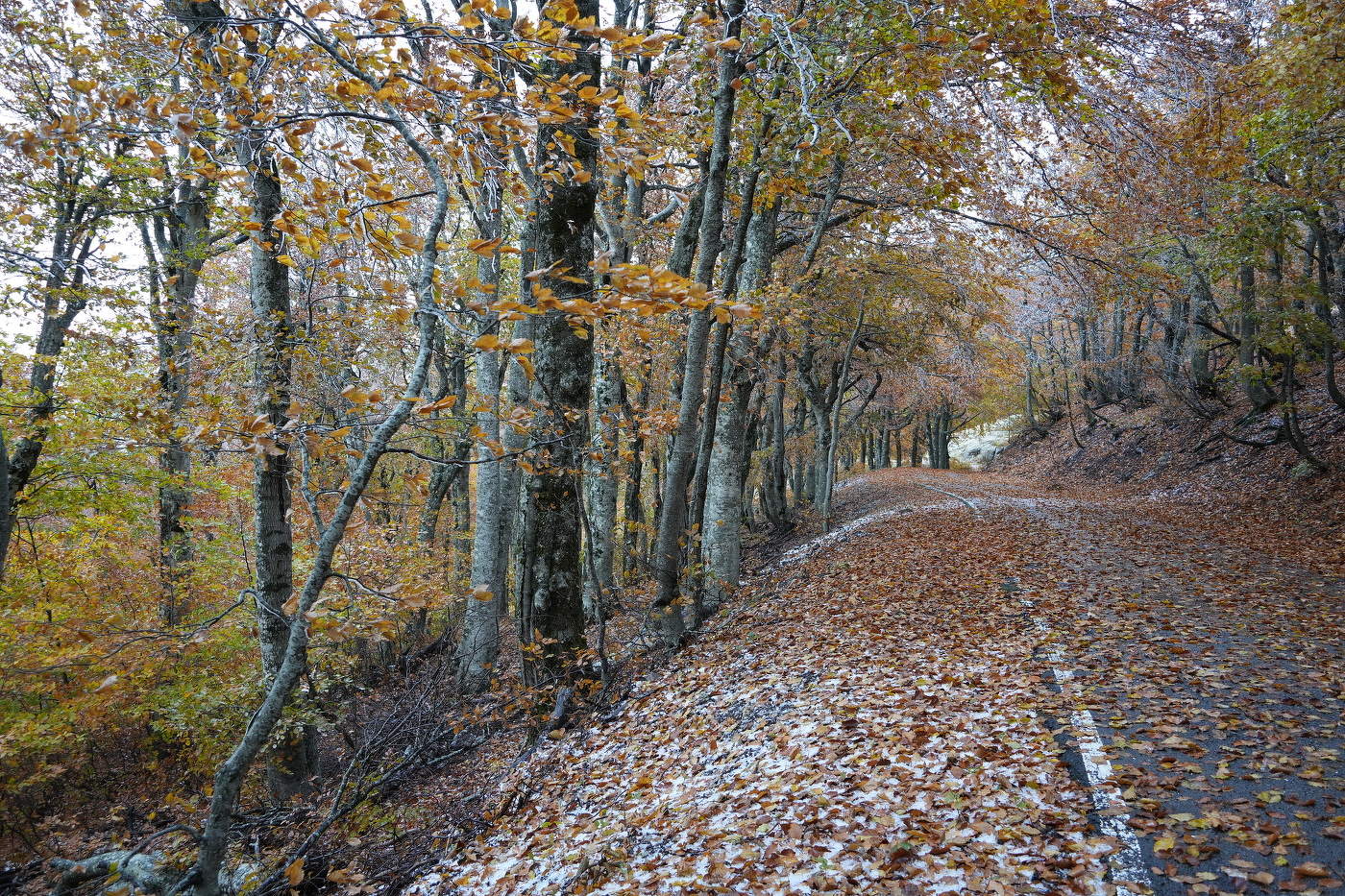 Между осенью и зимой