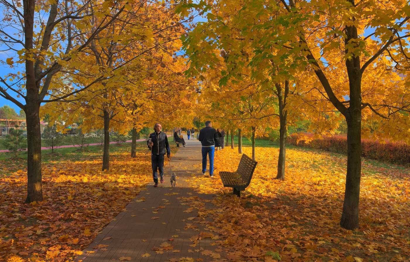 Осень на Ходынке