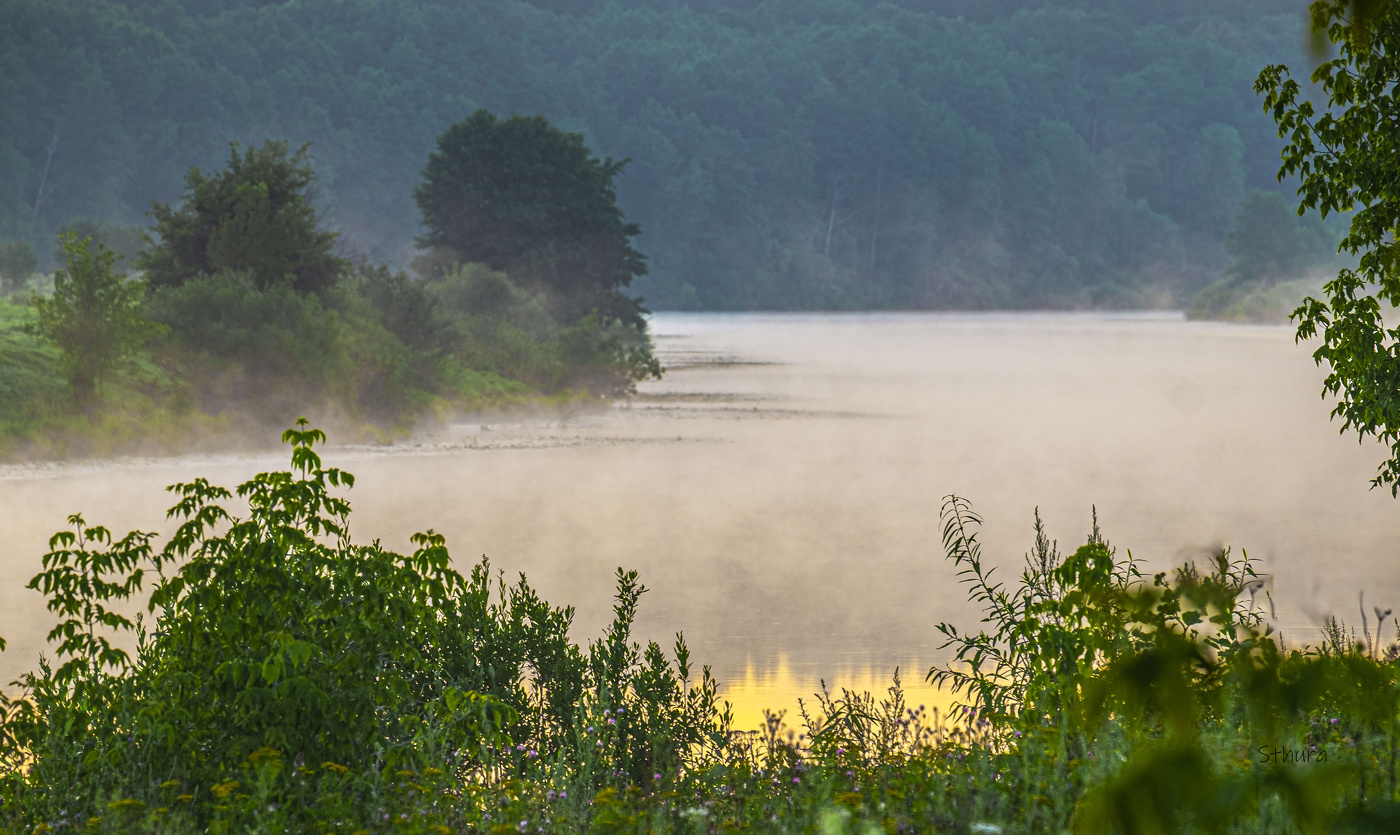 Летнее утро.