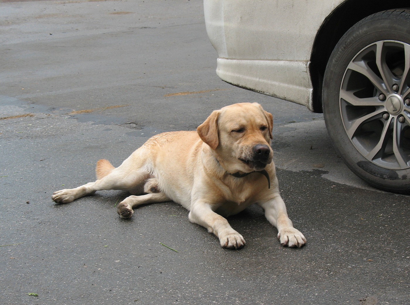 Фуу, глуши мотор водила!