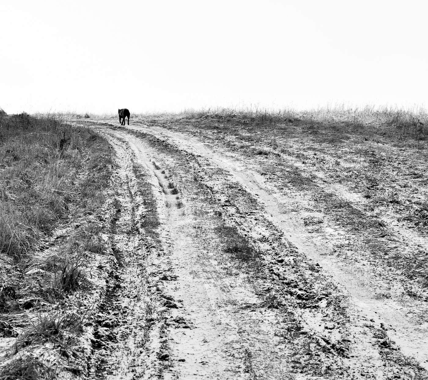 "Дорогу осилит идущий ...!"