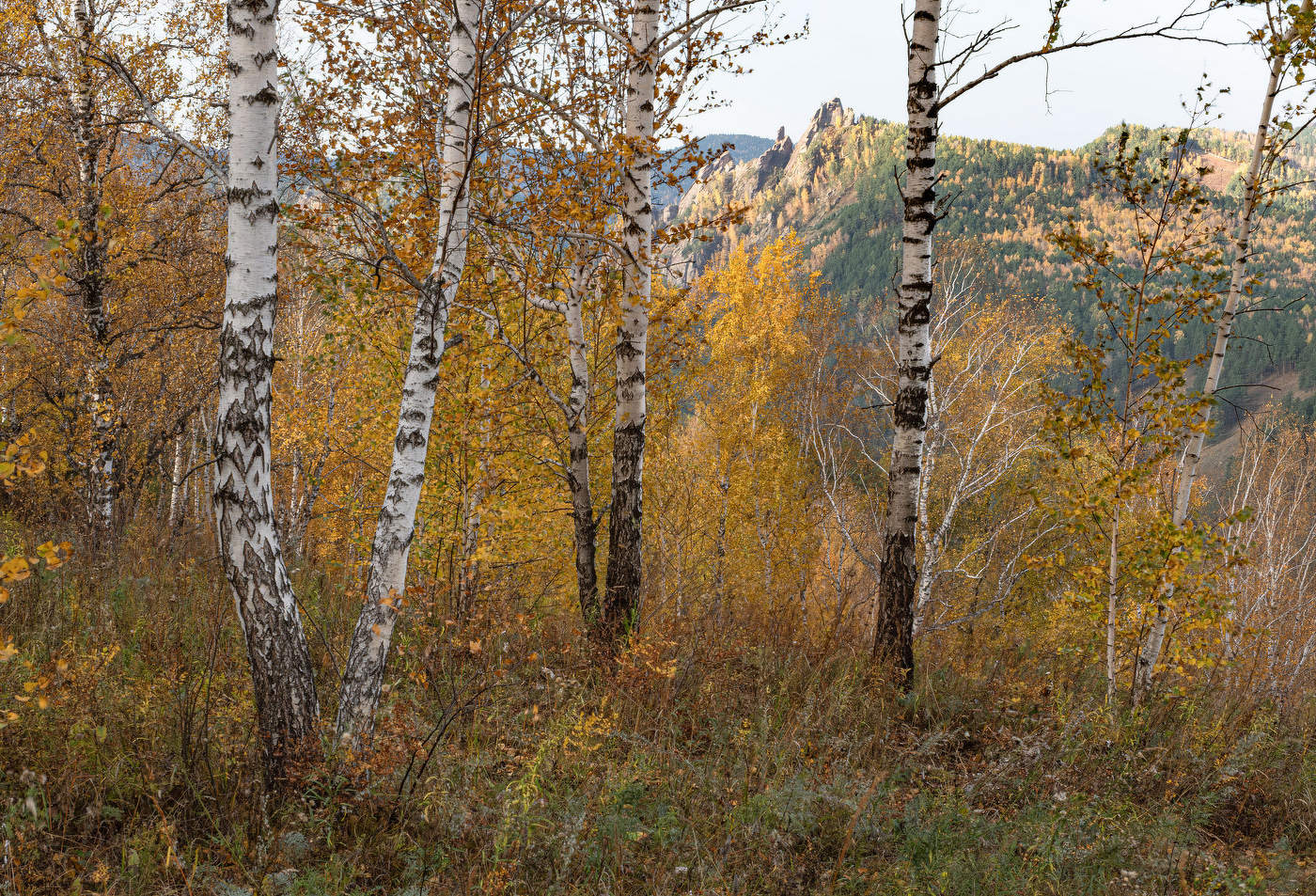 Осенней порой