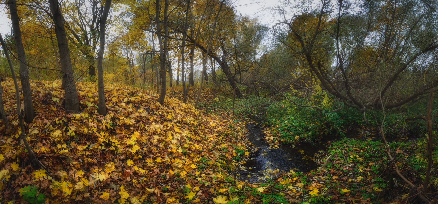 Осень, которая рядом