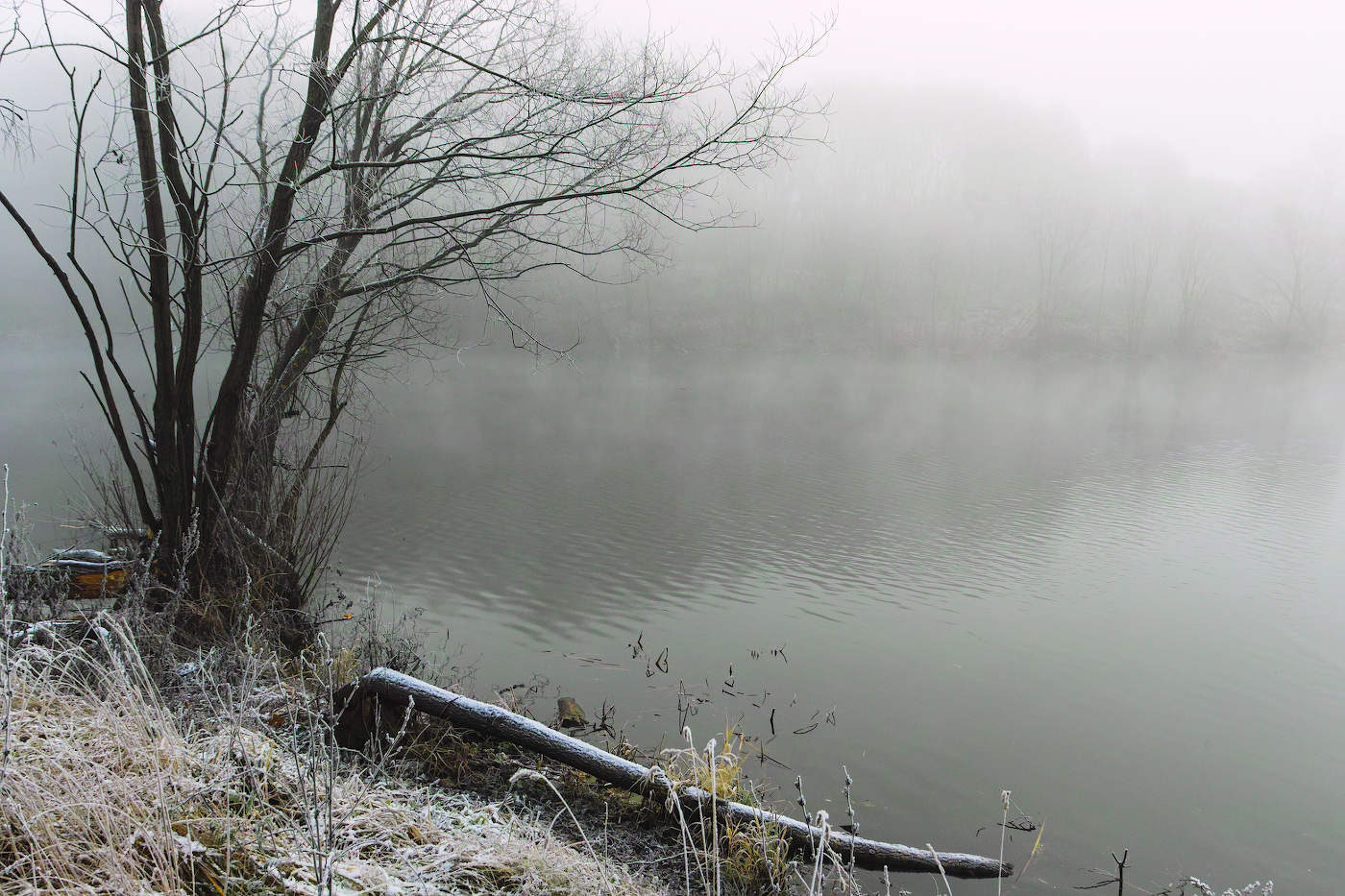 Этюд в серых тонах