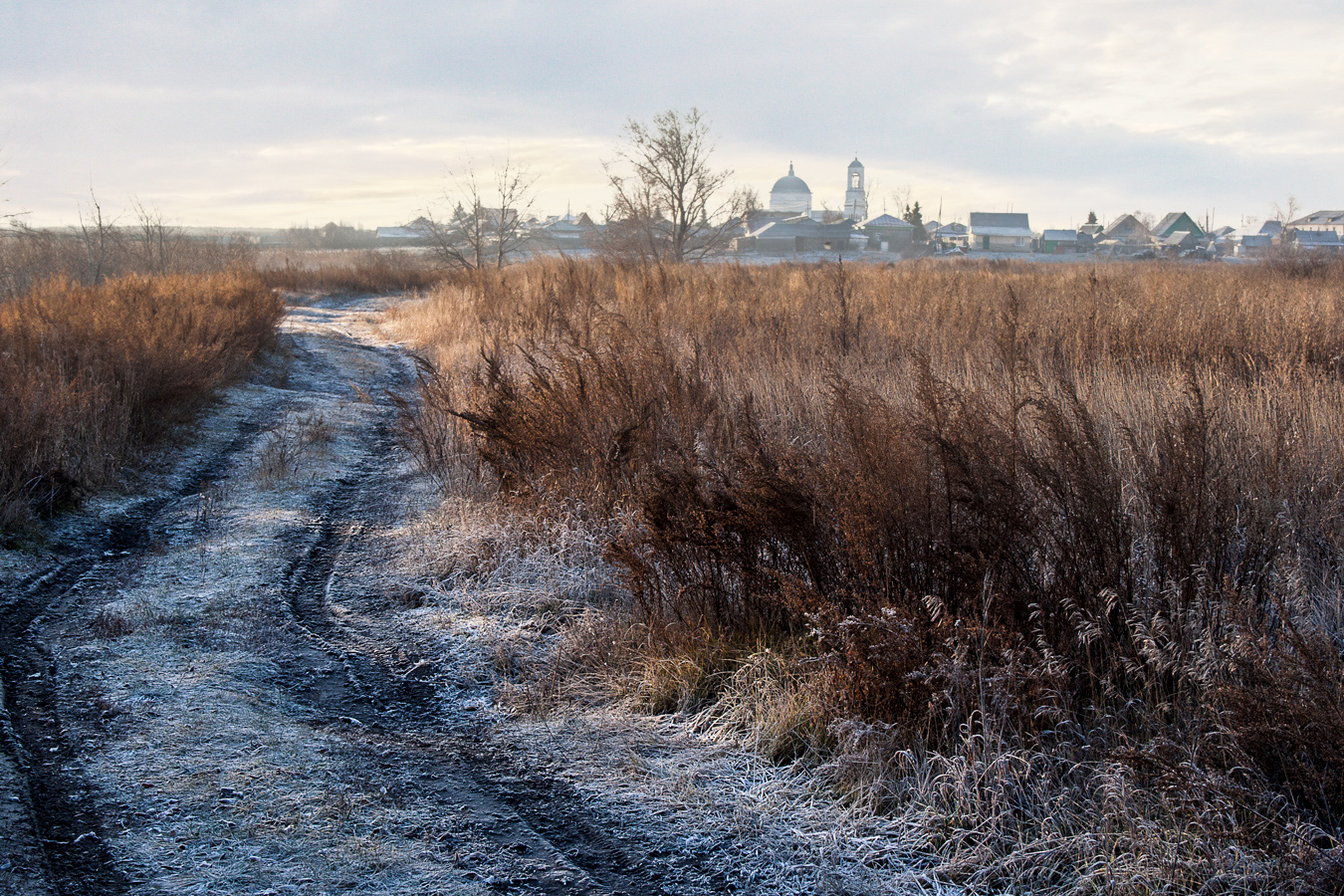 Подморозило