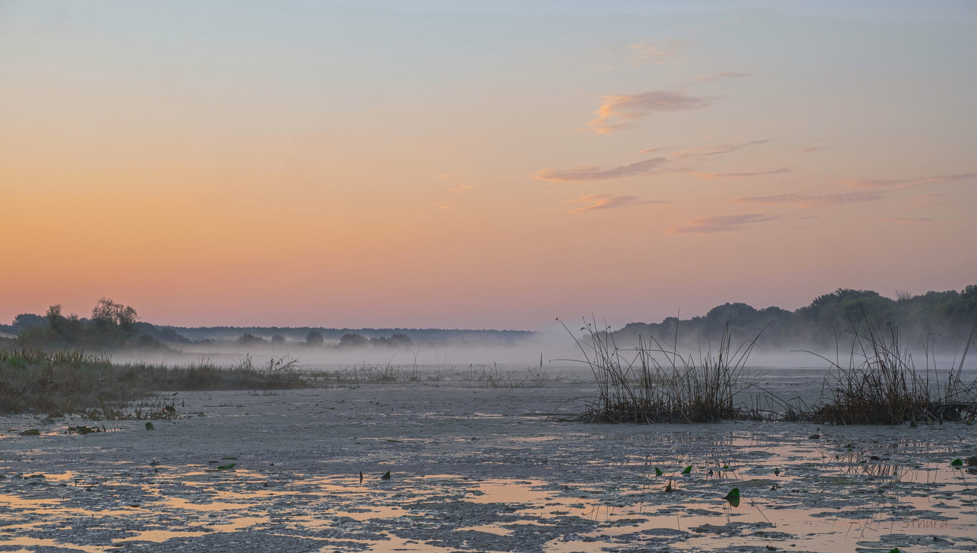 Туман на озере.