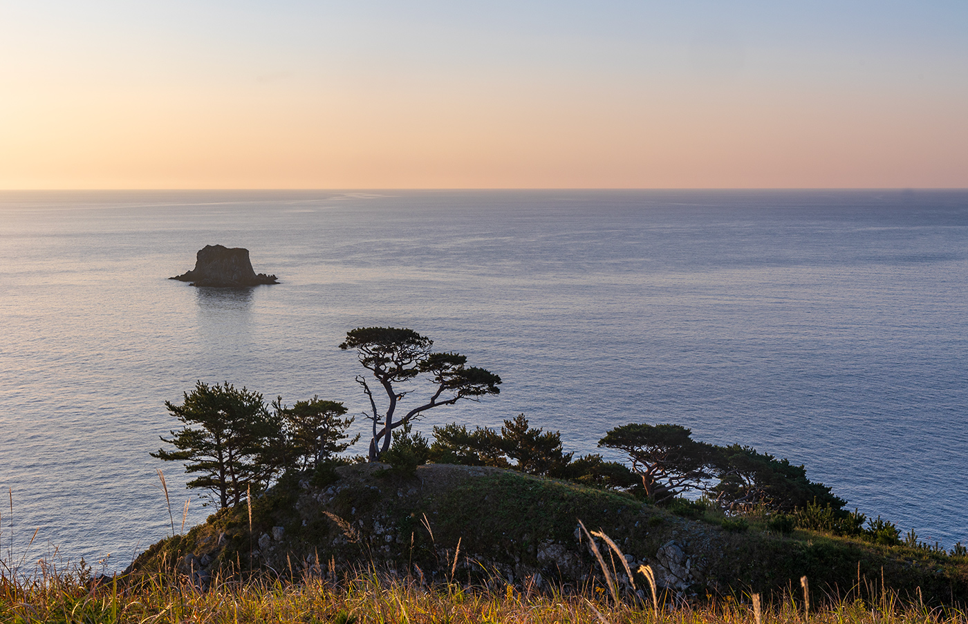 Ветер шалун