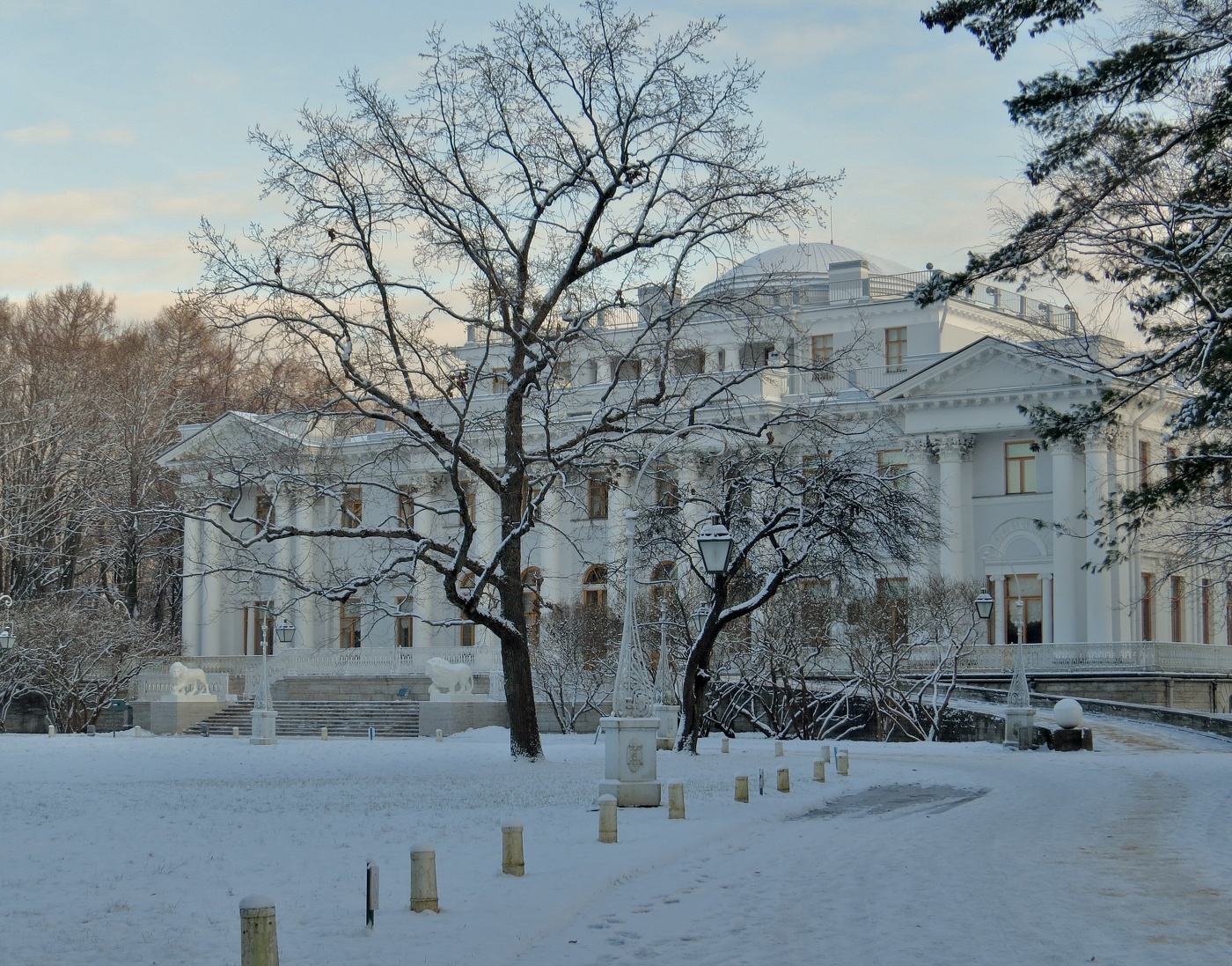 утро на Елагином