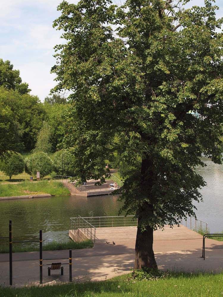 Люблинский парк