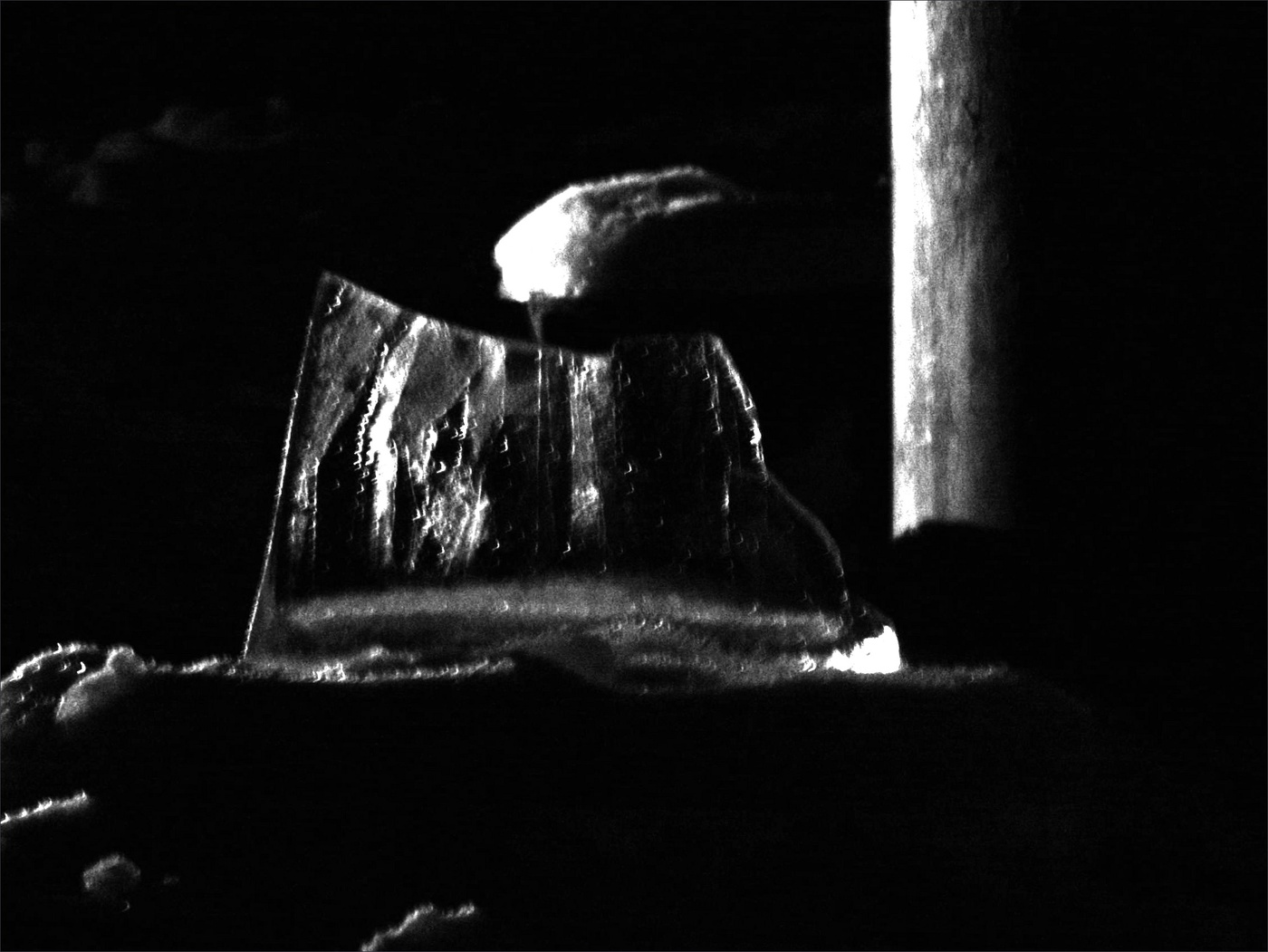 Жизнь вокруг