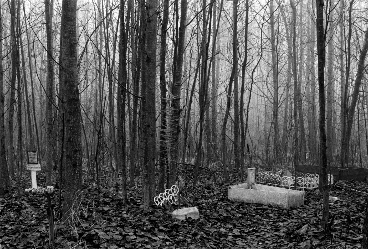 Кладбище домашних животных