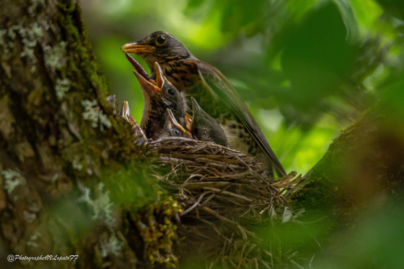 Мама и дети