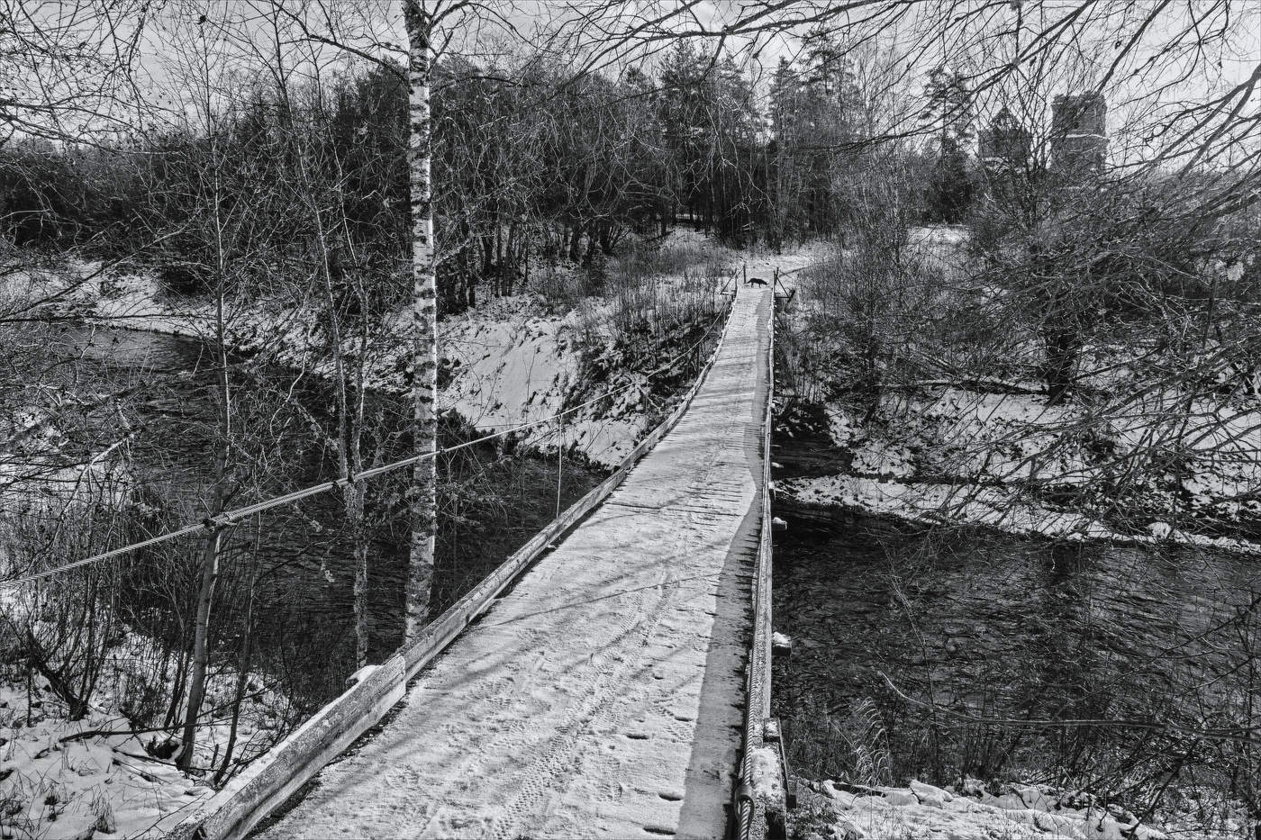 Жизнь вокруг