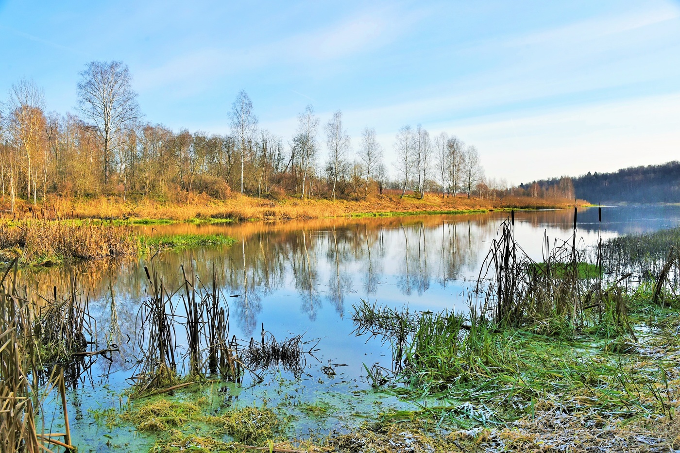 "Все будто просто спит, ни звуков, ни движений ..."