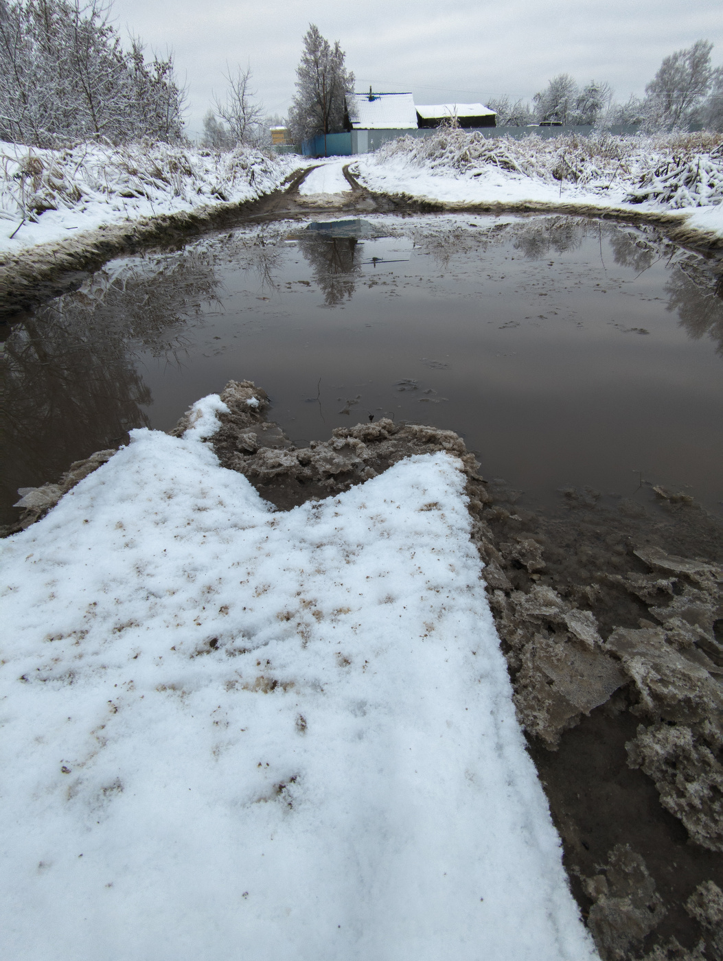 Первый снег