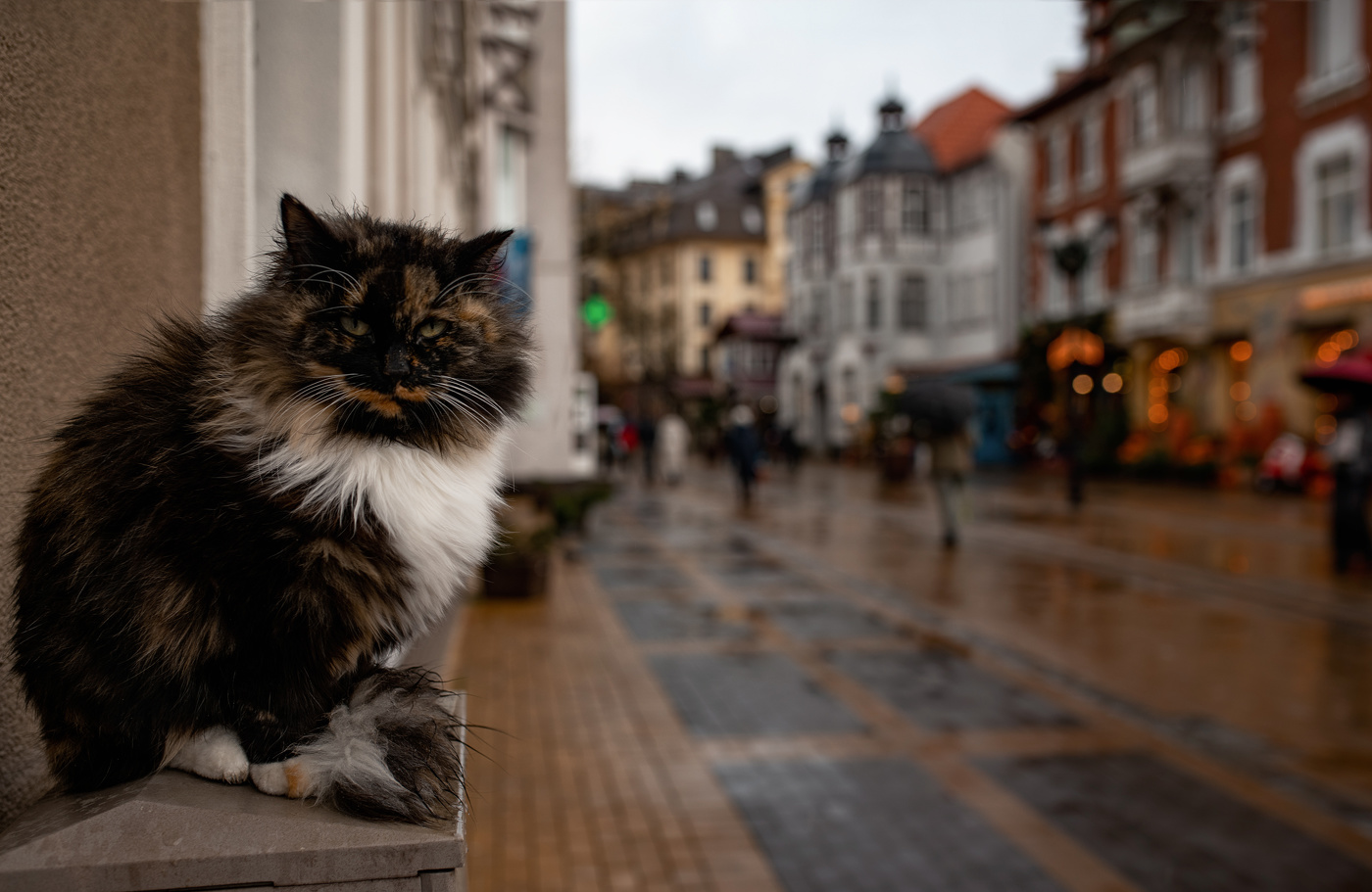 Сторожила...