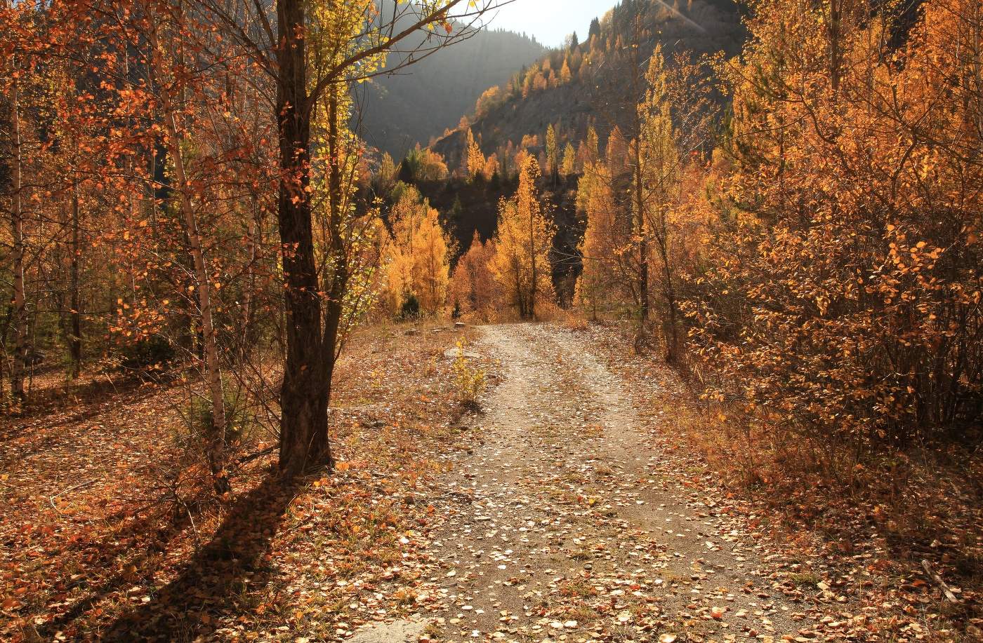 Была осень ...