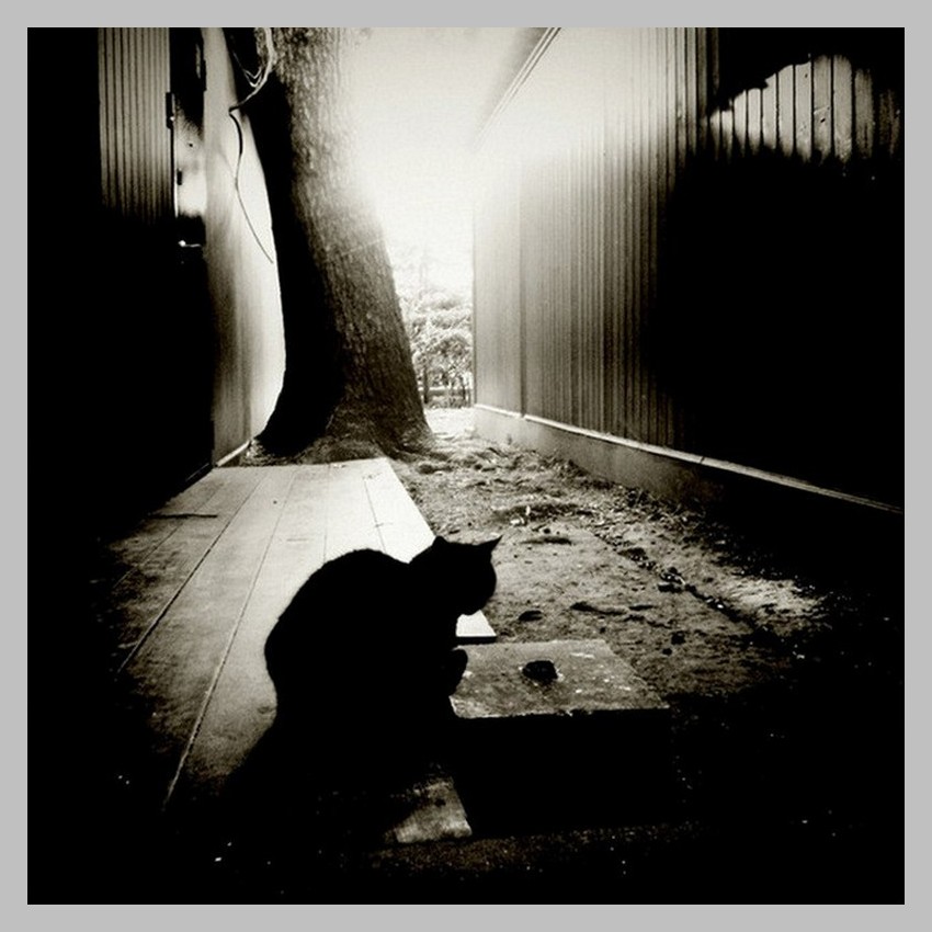 жутко концептуальная фота