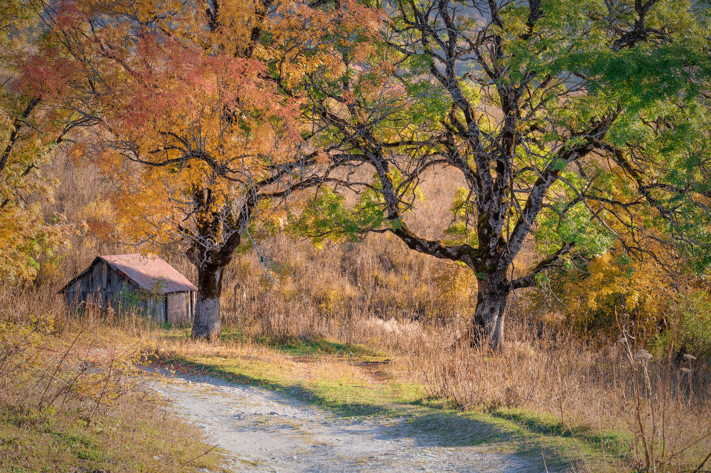 Autumn in Mravaldzali