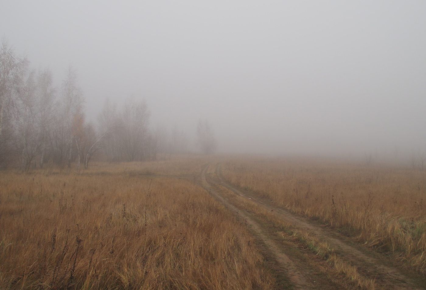 Дорога в туман