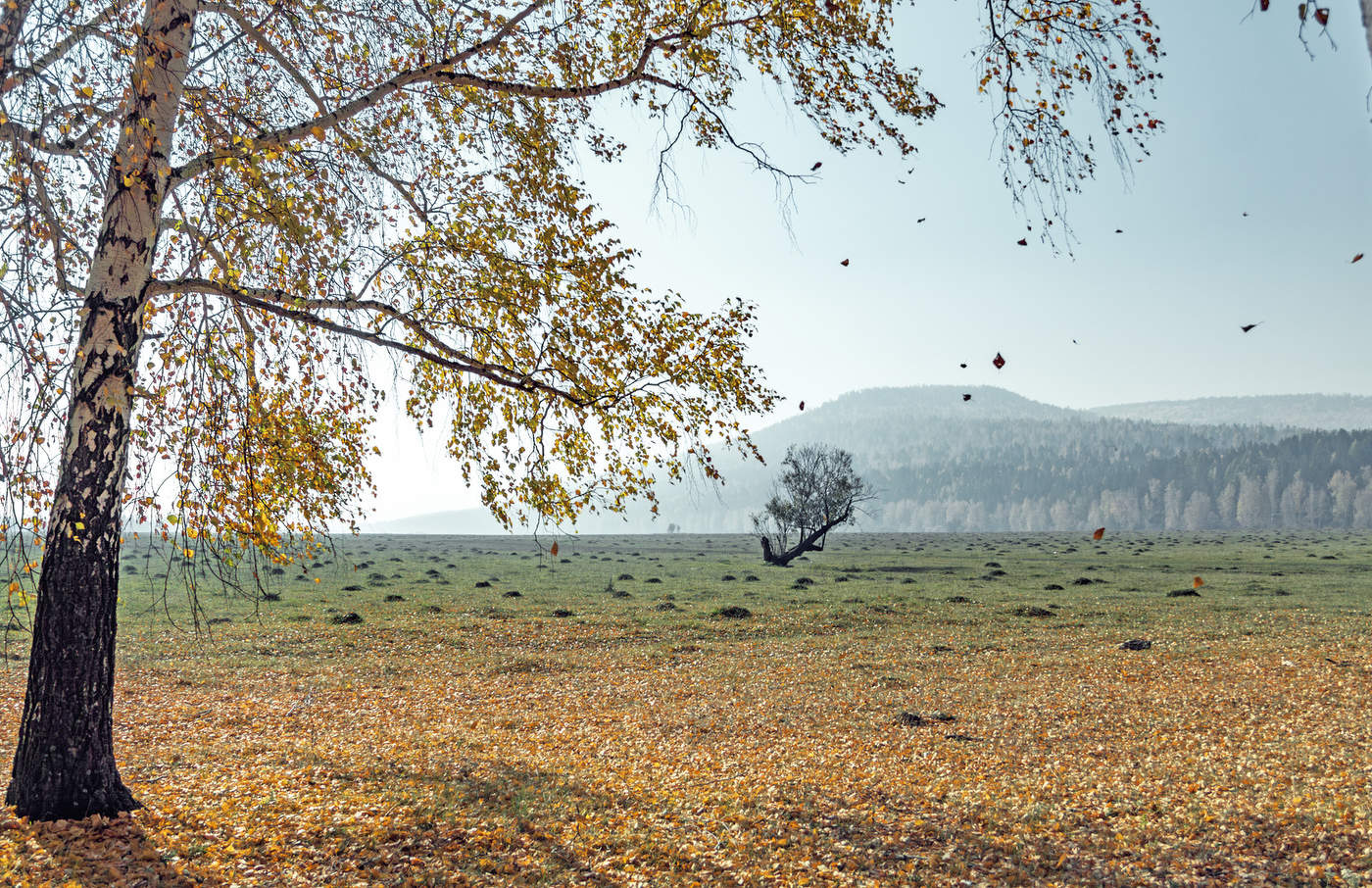 Дуновение осени