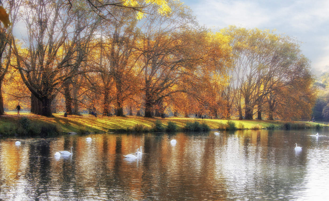 В парке Кельна