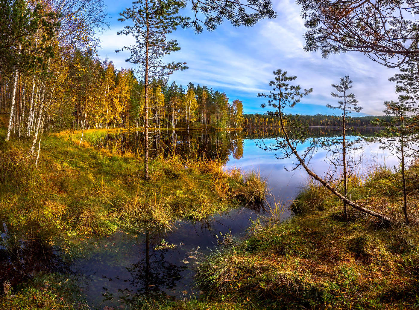 Из серии «Пейзажные картины»