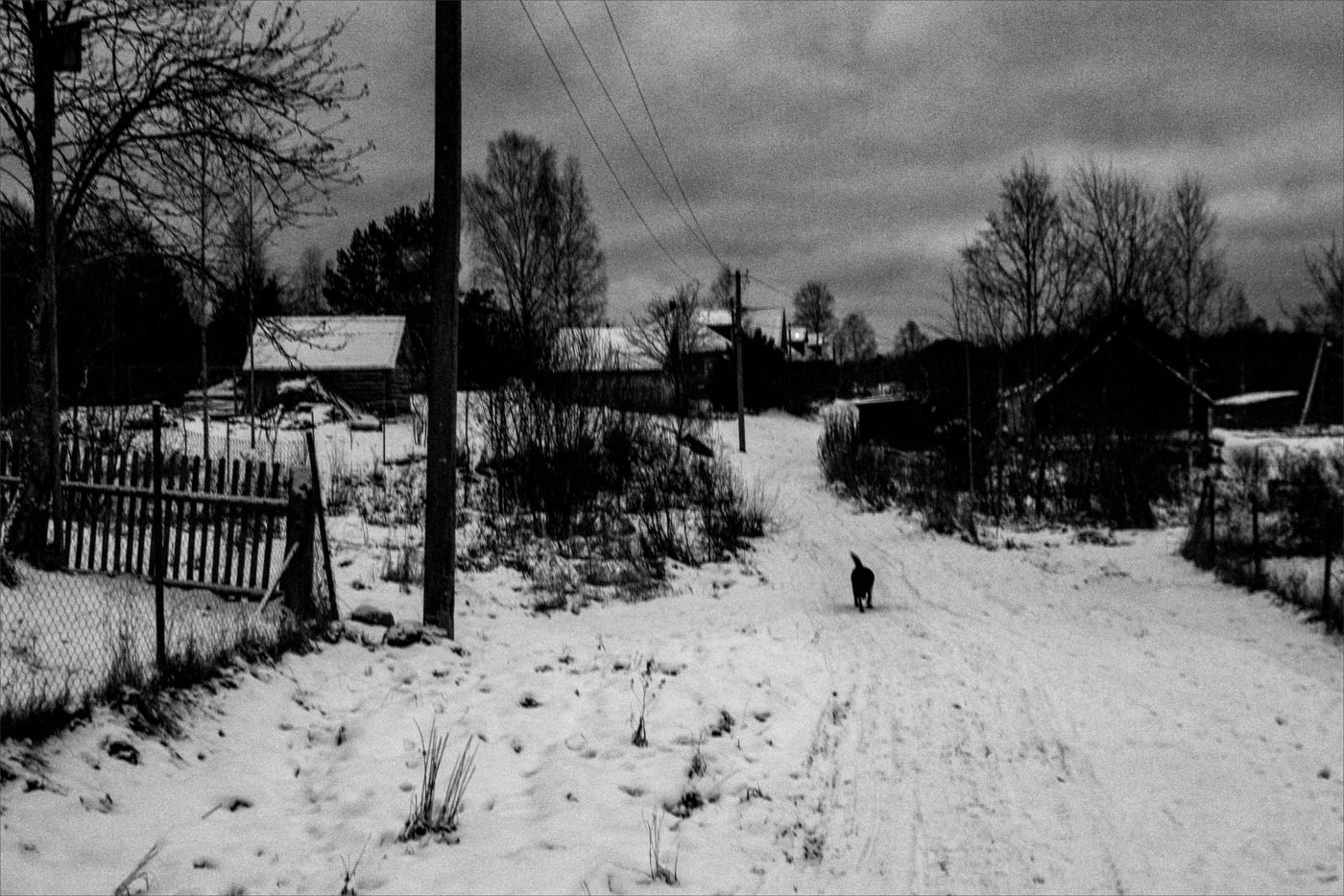 Жизнь вокруг