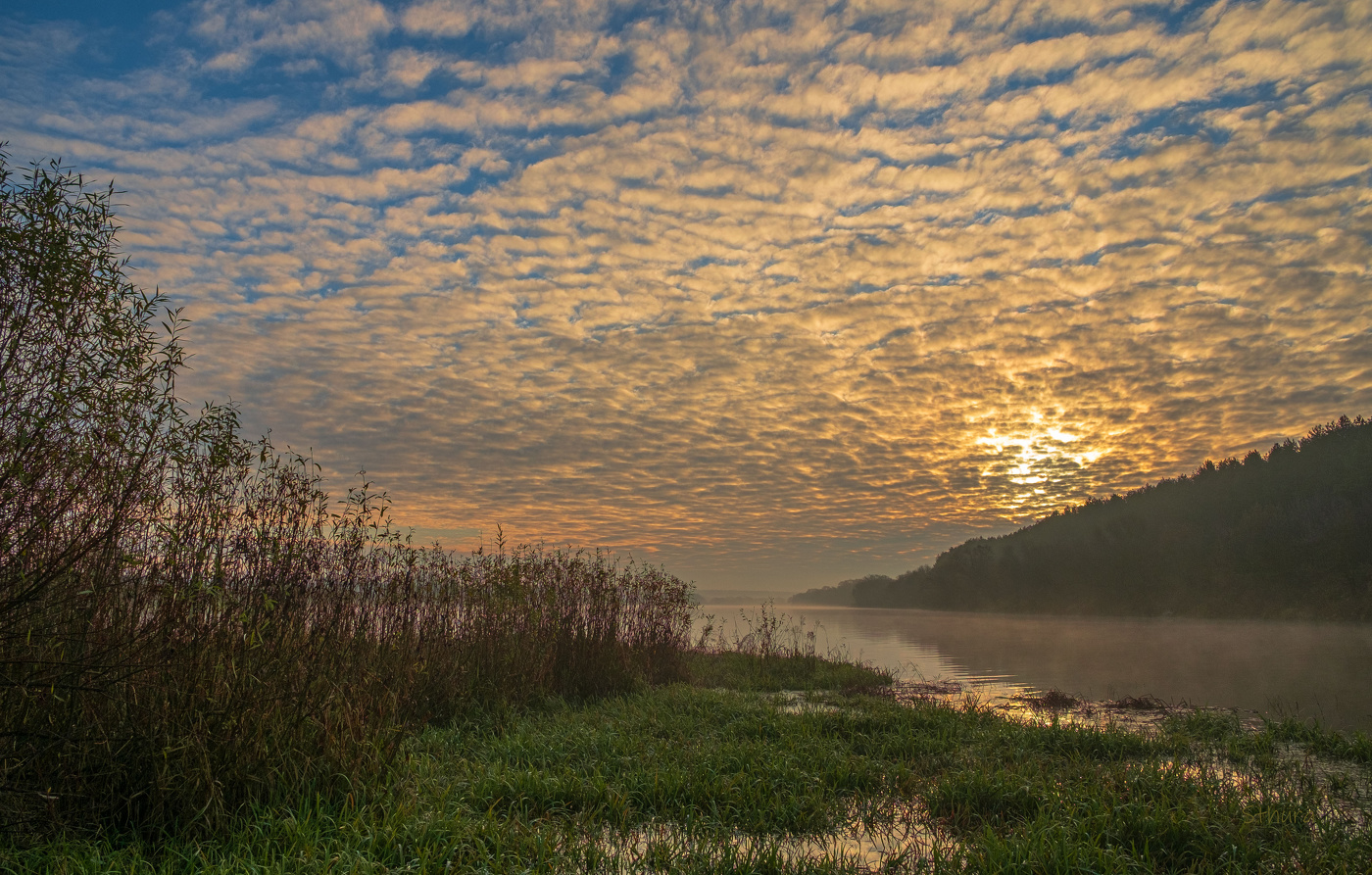 Ноябрьское утро.