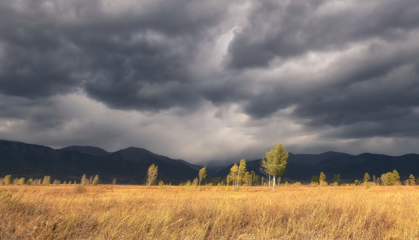 Перед грозой