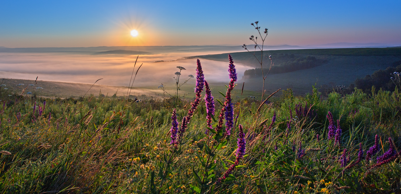 На рассвете