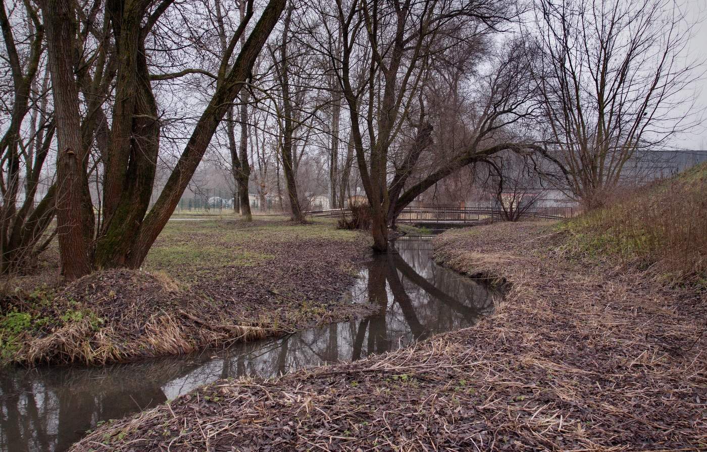 Ноябрьский сюжет