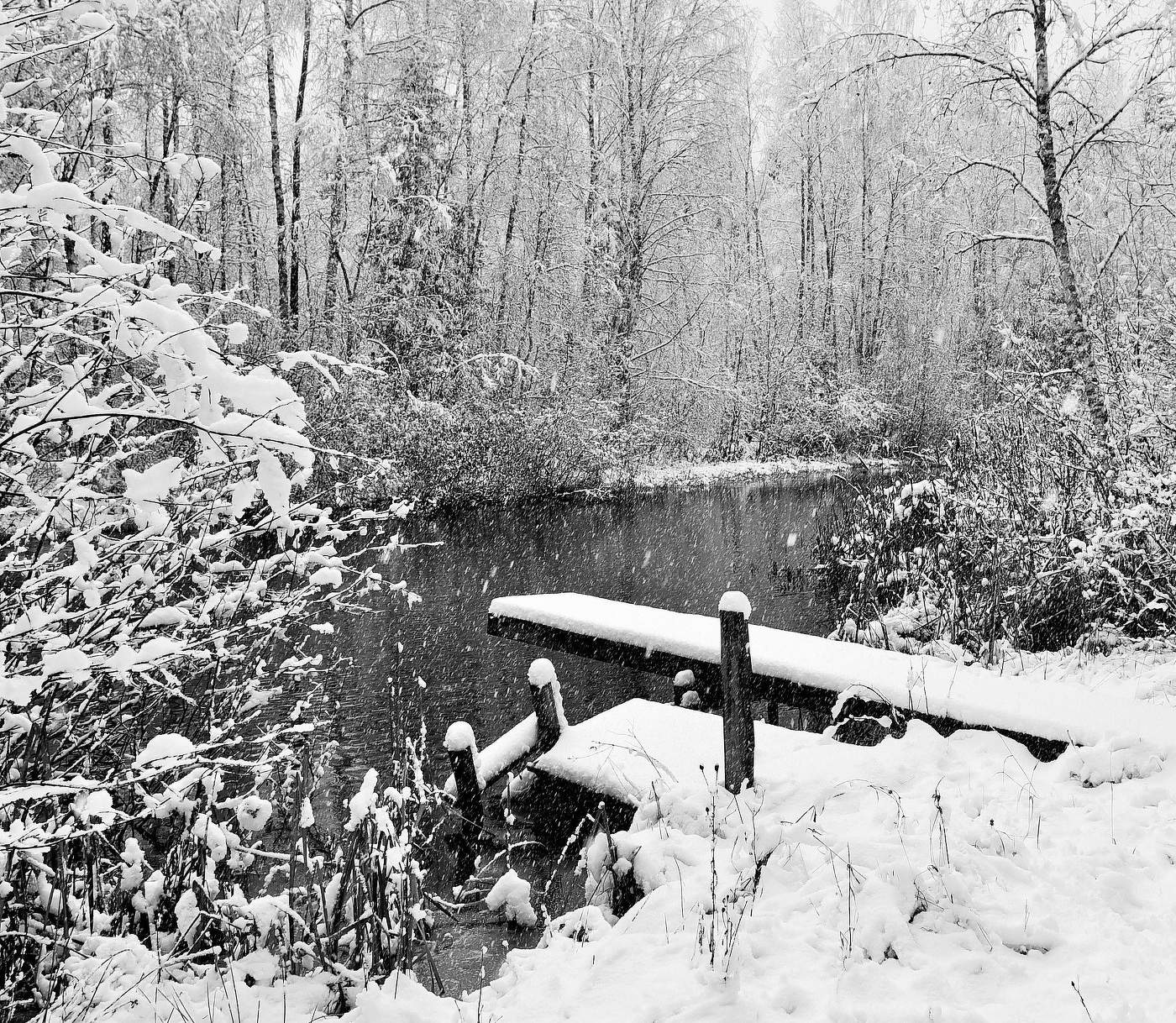 "Снег падал мягко, ласково, с душой ..."