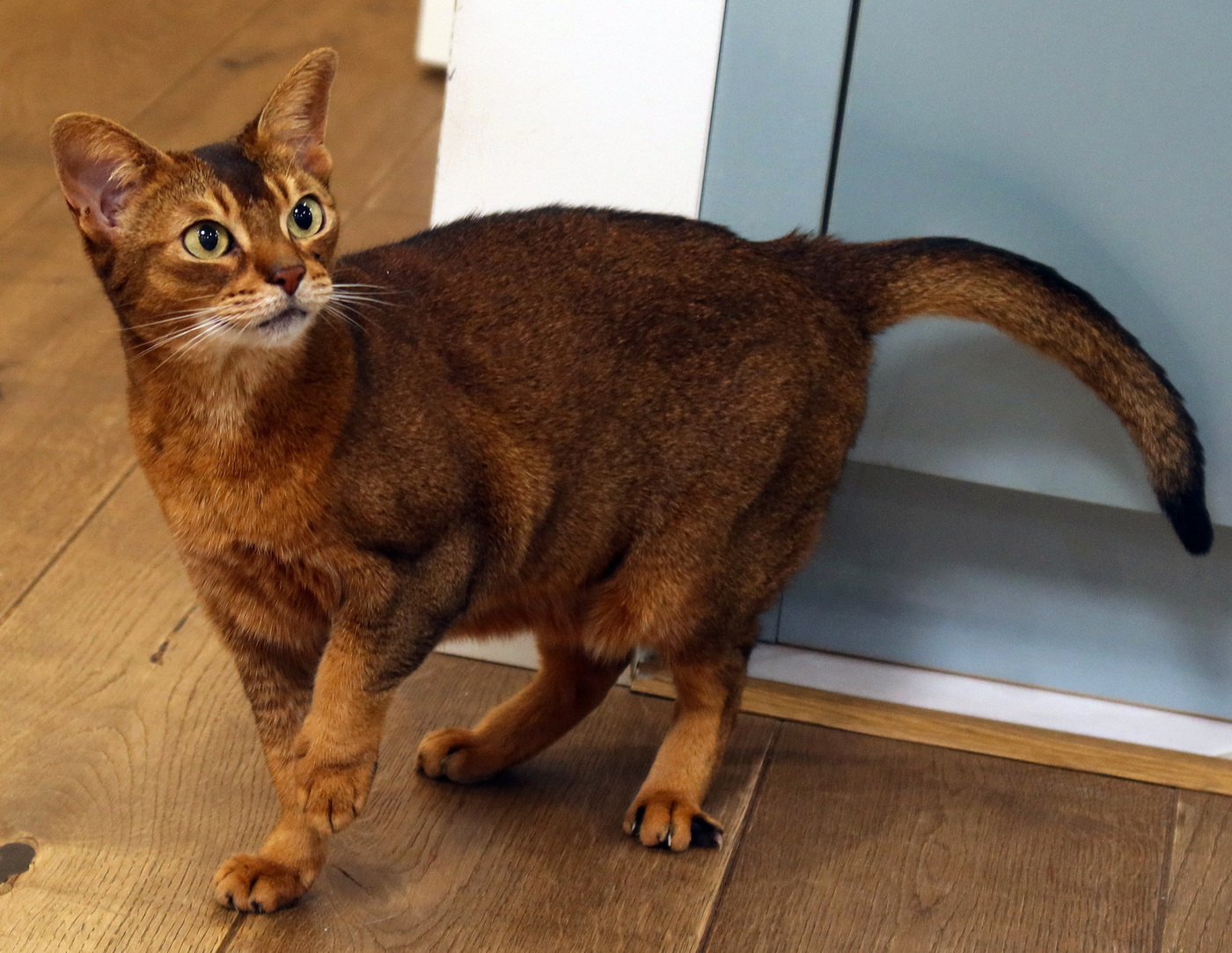 Моя знакомая