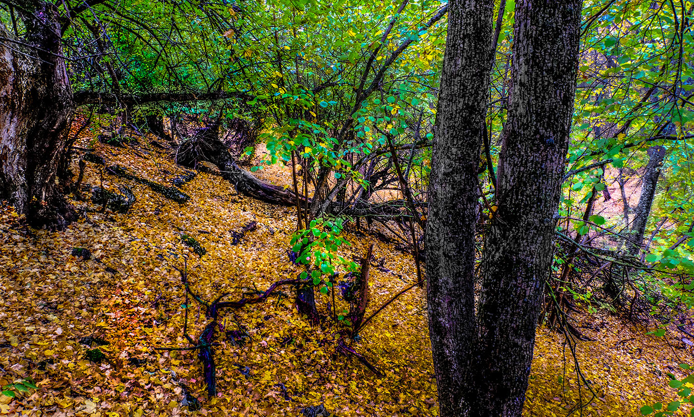 Прошедшая осень