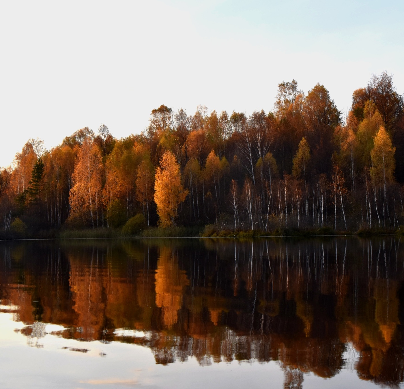Очей очарованье...