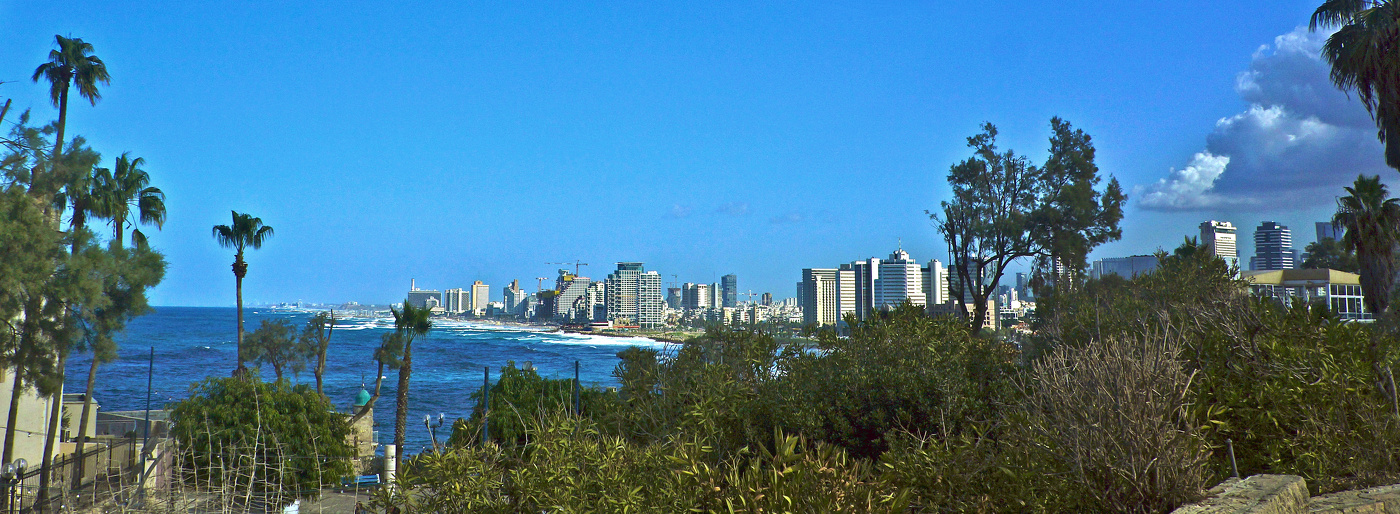 Под синим небом ноября