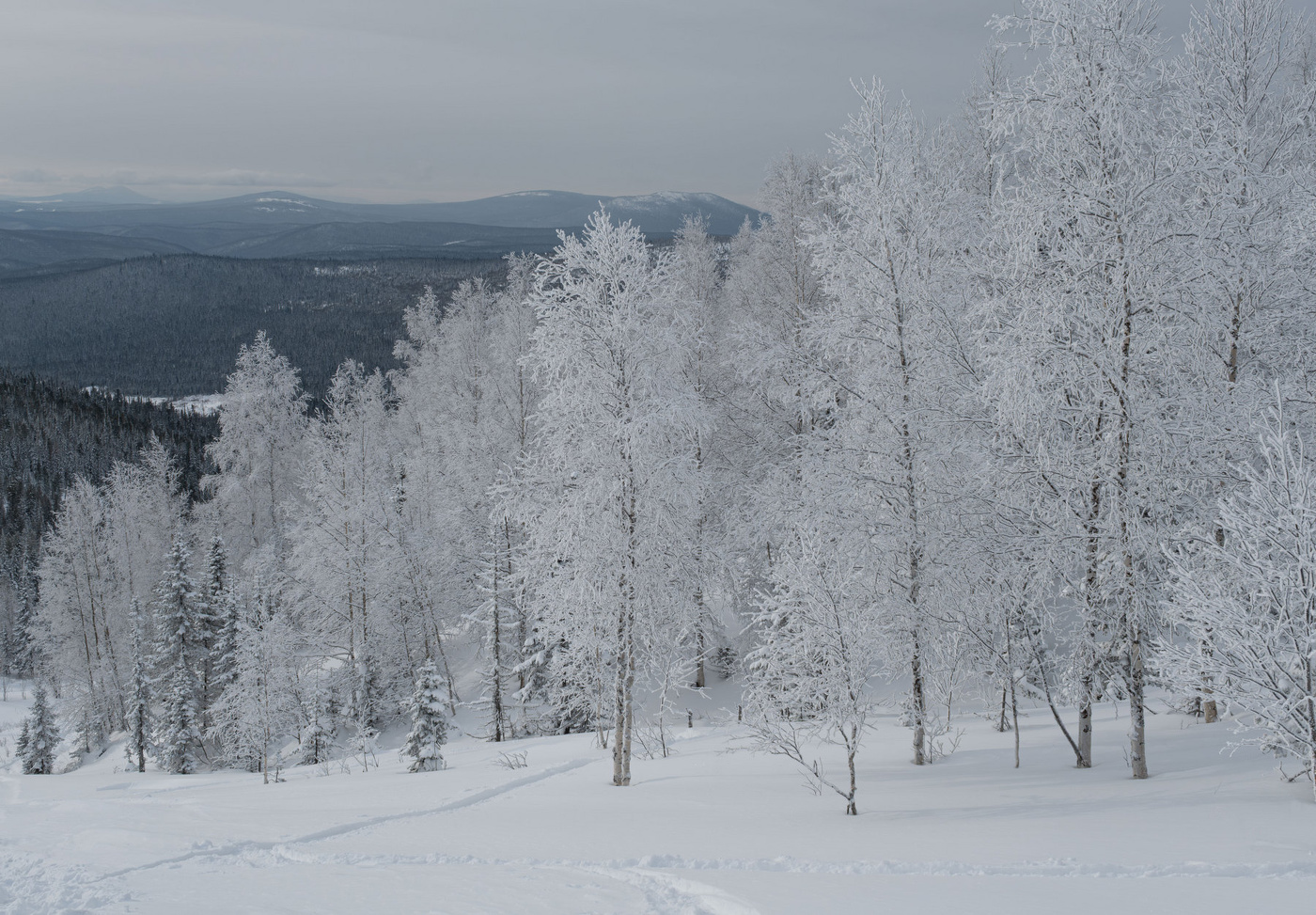 Серебряная сказка