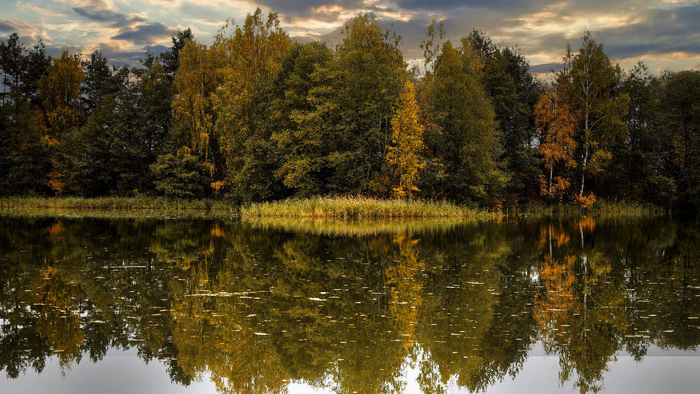 Осеннее впечатление.