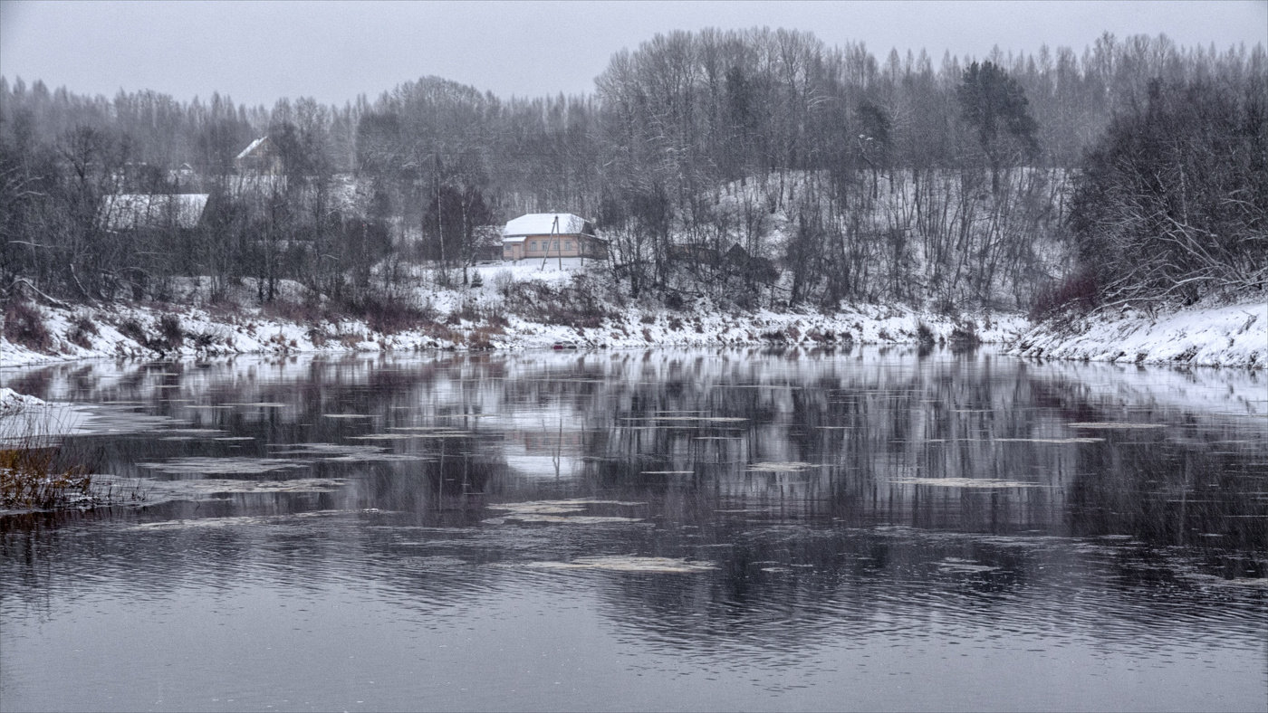 Жизнь вокруг