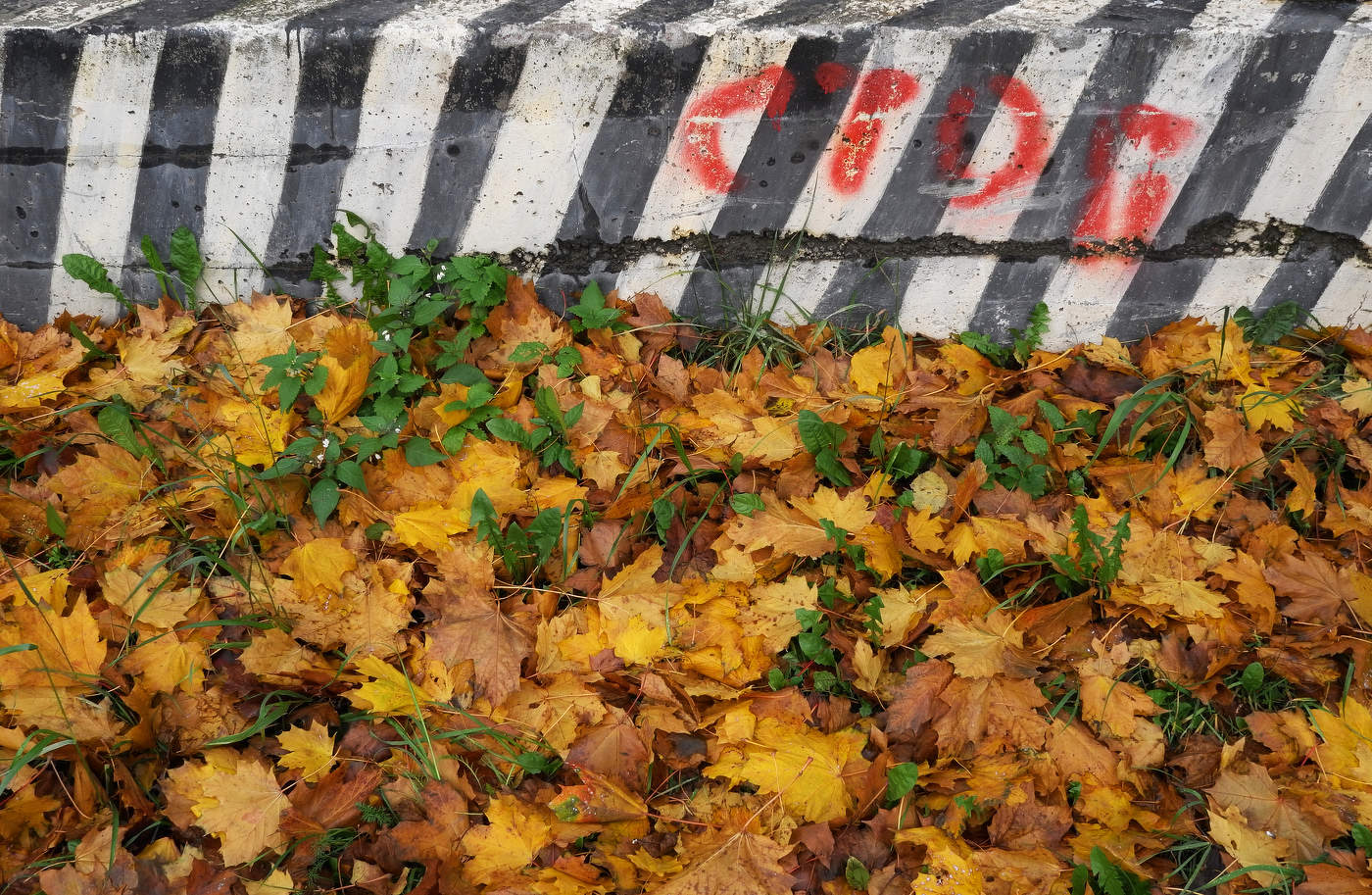 Межсезонье