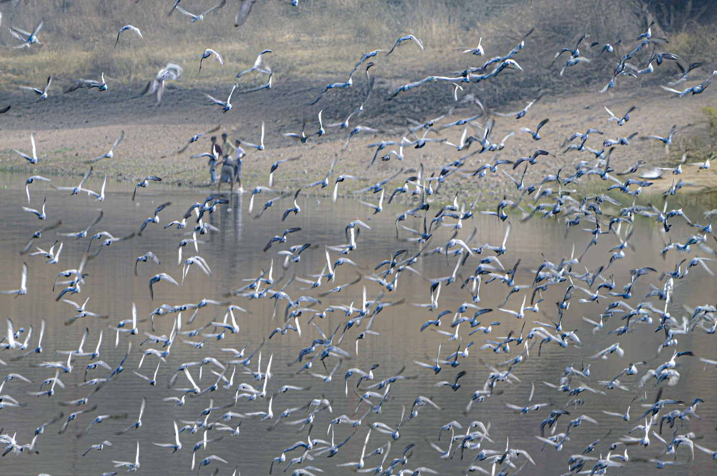 Почти по Хичкоку