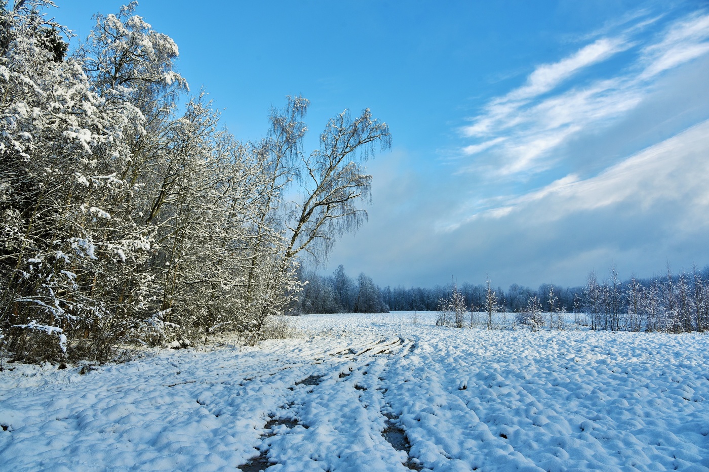 "Уснуло лето с осенью на год, пришла пора заснеженного счастья..."