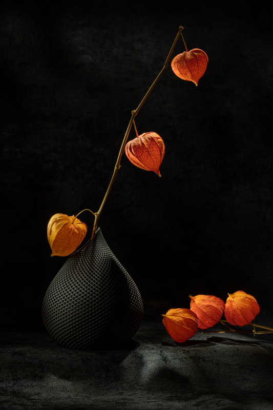 Этюд с физалисом